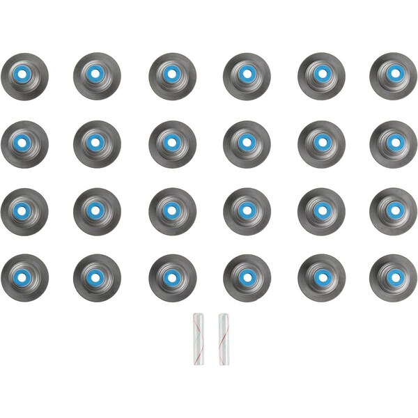 Reinz Engine Valve Stem Oil Seal Set, 12-10111-01 12-10111-01 - main